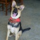 SOY TAYSSON TENGO 9 MESES